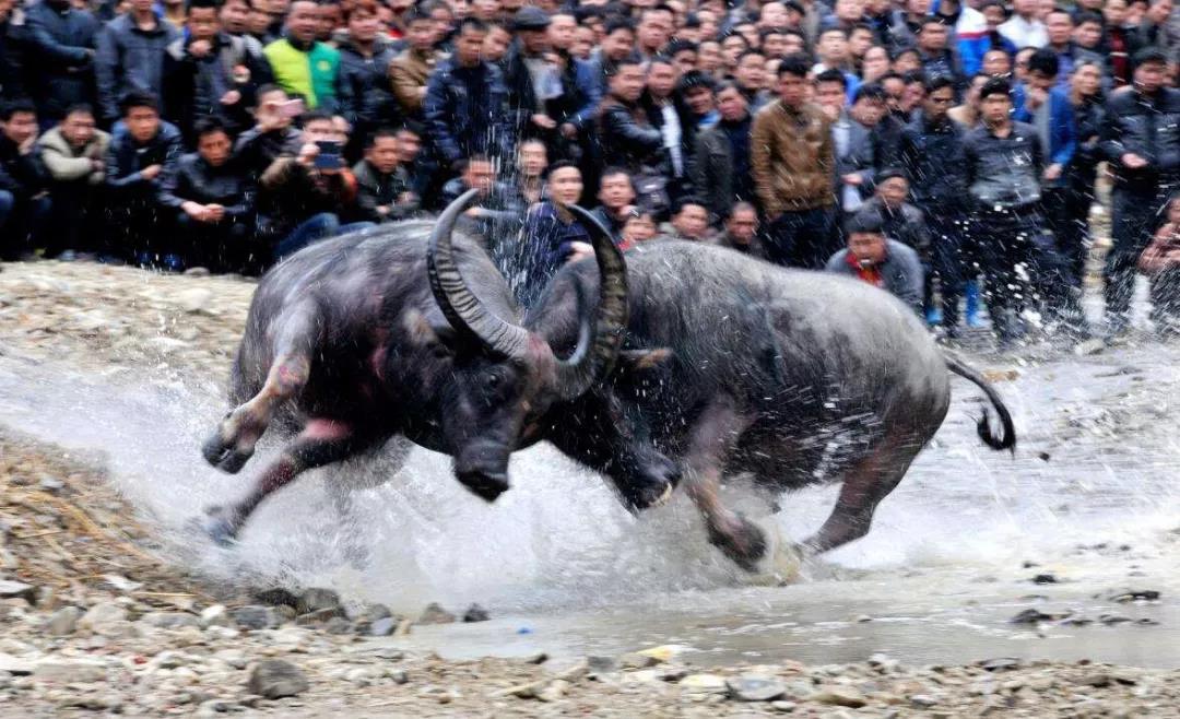 1643274010324785.jpg WeChat Image_20220127165956.jpg